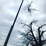 Profile Picture of Chris Schiavon (@cjschiavon) on Instagram