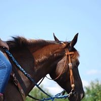 Profile Picture of Clare Starr (@clare-starr) on Quora