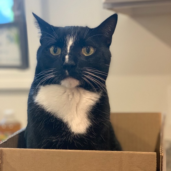 Ken Handly - Poshmark Profile Picture of Ken Handly (@kenhandly) on Poshmark