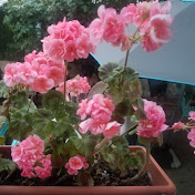 Profile Picture of Maryam Tahaei (@maryamtahaei143) on Youtube