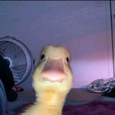 Profile Picture of Brycop54 (@BryanBodnar3) on Twitter