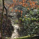 Profile Picture of Michael Lakey (@mjml_nature) on Instagram