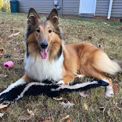 Profile Picture of Sean Mullins (@seanmullins4031) on Youtube