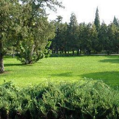 Profile Picture of Cindy Tong (@cindytong115) on Twitter