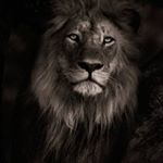 Profile Picture of يمڪن يڪون اڷحزن آحيآنآإ :/ آمڷ (@omar.jack1) on Instagram