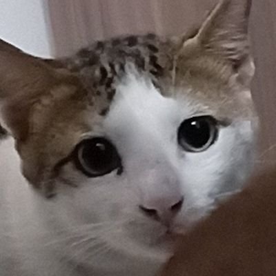 ⊕★ティヤス★ ⊕ @ Garmillas - Twitter Profile Picture of ⊕★ティヤス★ ⊕ @ Garmillas (@icblues) on Twitter