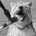 Profile Picture of Basil Attree (@basil.attree) on Facebook
