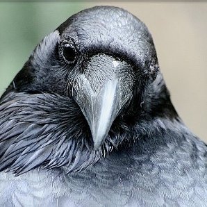 Profile Picture of Richard Hofacker, Jr. (@RHofackerJr) on Twitter