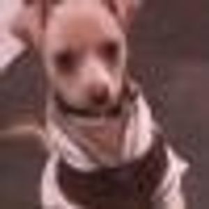 Profile Picture of Irene Hawkins (@285916958) on Myspace
