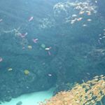 Profile Picture of るるる (@chama.r.i) on Instagram