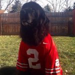 Profile Picture of rob Huck (@chuckdiddlylumpcious) on Instagram