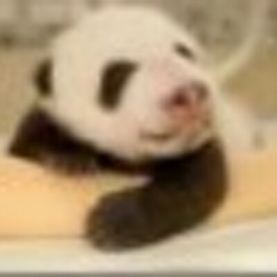 Profile Picture of Jo Holman Williams (@damommma) on Twitter