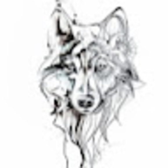 Profile Picture of Erika Marcoccia (@erikamarcoccia) on Poshmark