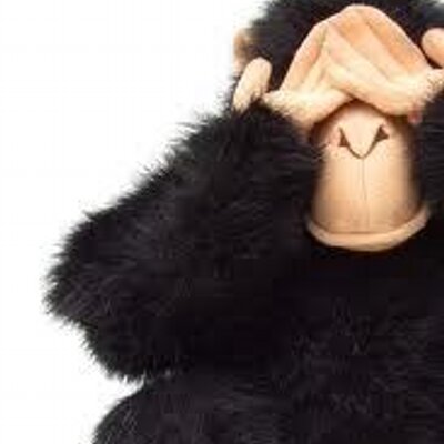 Profile Picture of Jacques Côté (@Levraicocobong) on Twitter