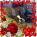 Profile Picture of Debi F Stevenson (Debi) (@debi.stevenson1) on Facebook
