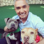 Profile Picture of Cesar millan fan page (@cesar_millan_fans) on Instagram