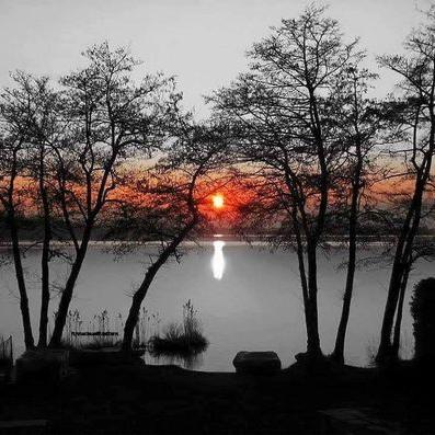 Profile Picture of Carlos Timoteo (@badalonayteruel) on Twitter