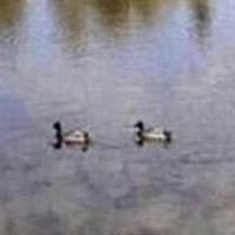 Profile Picture of Bob (@SpelmanCarson) on Twitter