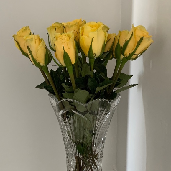 Profile Picture of Julie Tkachenko (@julie_tkachenko) on Poshmark