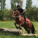 Profile Picture of Martin Recio (@martin.recio) on Instagram