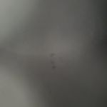 Profile Picture of Colin (@colin_tobin_20) on Instagram