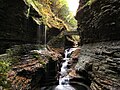 Profile Picture of Watkins Glen State Parkon Wikipedia