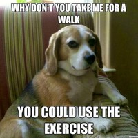 Profile Picture of Max Wade (@max-wade-5) on Quora