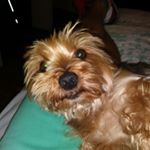 Profile Picture of Jonathan Woolley (@gatortater1) on Instagram