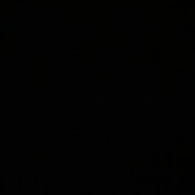 Profile Picture of Owen Stark (@owenstark8336) on Youtube