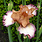 Profile Picture of Noodlehaven (@noodlehaven) on Flickr