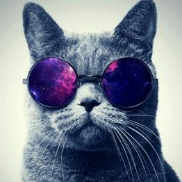 Profile Picture of Christian Calixto (@C_CalixtoM) on Twitter