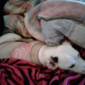 Profile Picture of Andrew Palomo (@Andrewpalomo5) on Twitter