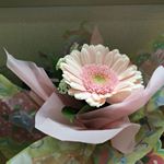 Profile Picture of Michiko Takeda (@michiko.takeda.7777) on Instagram