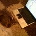 Profile Picture of Jessie Humphreys (@jessie.humphreys.31) on Facebook