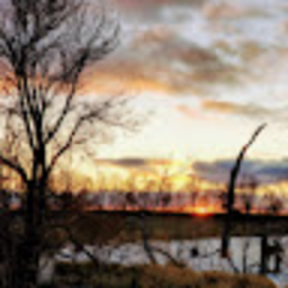 Brian Kohlmann - Poshmark Profile Picture of Brian Kohlmann (@briankohlmann) on Poshmark