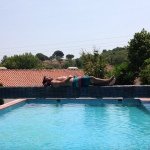 Profile Picture of Ricardo Malaquias (@ricardo_malaquias_) on Instagram