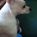 Profile Picture of Joyce Baab (@joyce.baab.58) on Facebook
