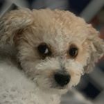 Profile Picture of Tyler Westerberg (@tywest05) on Instagram