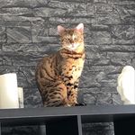 Profile Picture of Hans-Peter Schlipper (@hanspeterschlipper) on Instagram