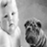 Profile Picture of Lupe García (@lupe.garcia) on Flickr