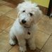 Profile Picture of Gretchen Weber (@gretchen.weber.98) on Facebook