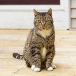 Profile Picture of Mark Levesque (@markelevesque) on Instagram