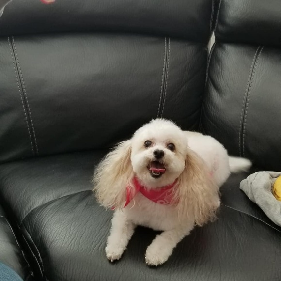 Profile Picture of Coylette James (@coylette) on Poshmark