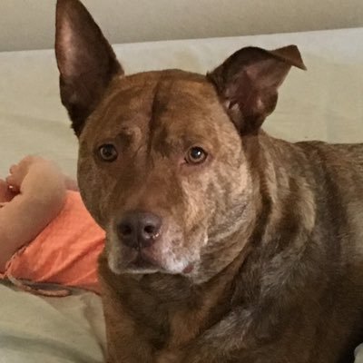 Profile Picture of Sara Haack (@SaraHaack2000) on Twitter
