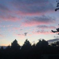 Profile Picture of Emily Keil (@emily-keil-7) on Quora