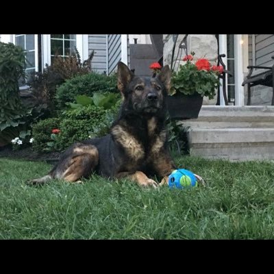 Profile Picture of Zach Roach (@zachroach17) on Twitter