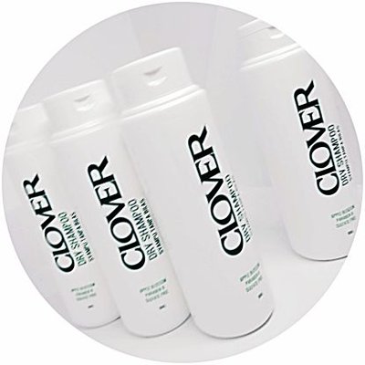 Profile Picture of CLOVER Hair Beauty (@CLOVERHairBeau1) on Twitter