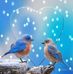 Profile Picture of Jeff Haykal (@enrico.enrico.75248) on Facebook