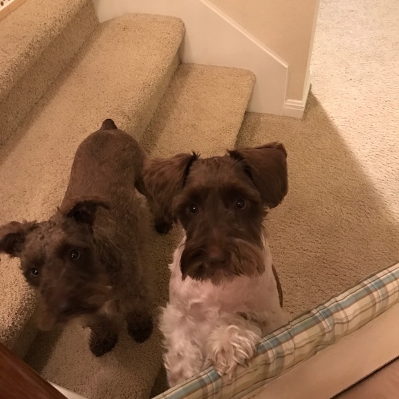 Profile Picture of Patricia Hruzek (@ru3boarding) on Poshmark