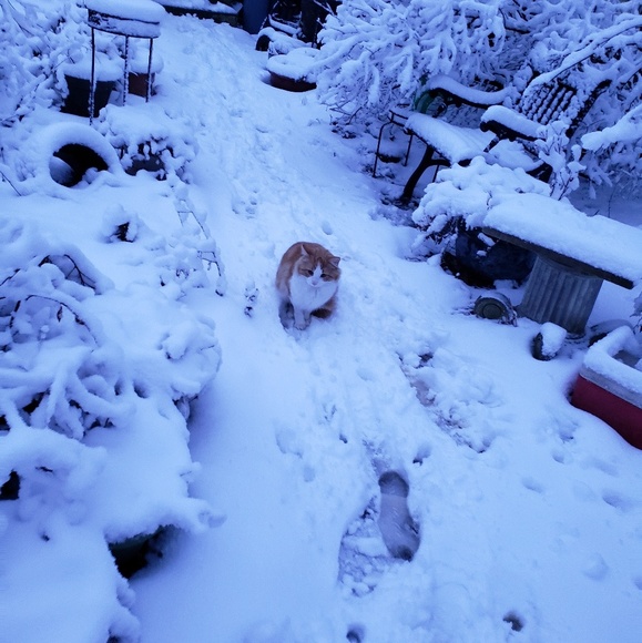 Profile Picture of Beth Boyd (@bboyd280) on Poshmark